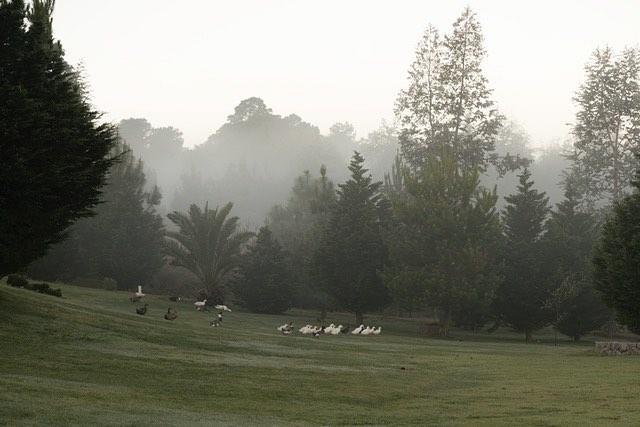 San Bernardo Hotel & Spa Tapalpa Kültér fotó
